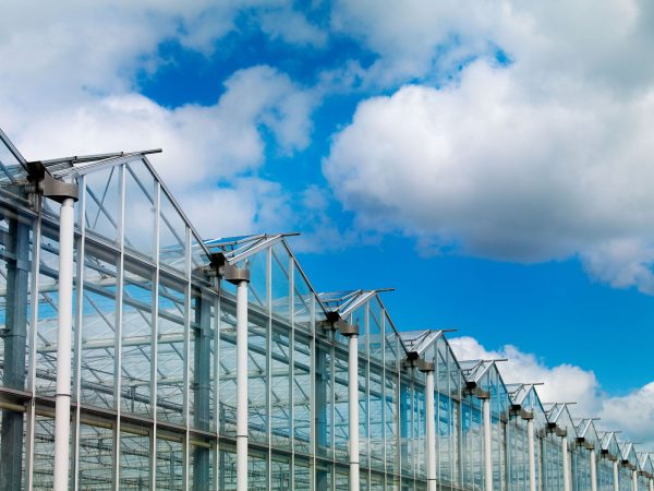Greenhouse Truss